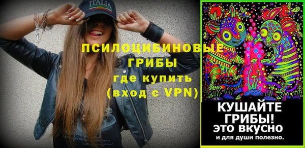 apvp Балахна