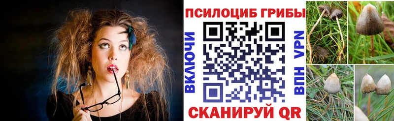 наркошоп  Ядрин  Псилоцибиновые грибы ЛСД 
